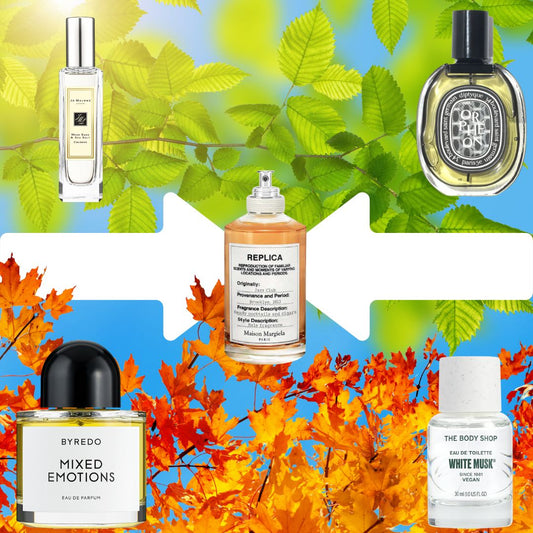 🌸 Scents by Season: Find Your Signature Scent Year-Round 💫