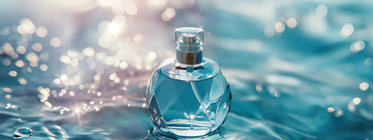 Perfumes That Last All Day Without Reapplying