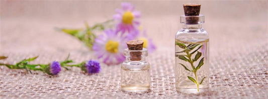 The Science Behind Perfume Notes: Understanding Top, Middle, and Base Notes