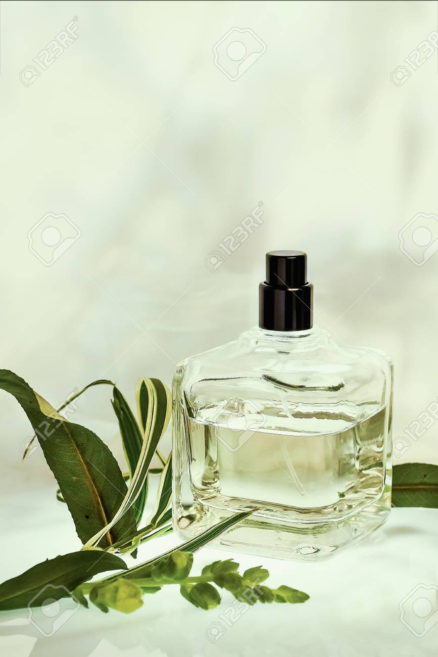 Scents That Speak: The Language of Perfume