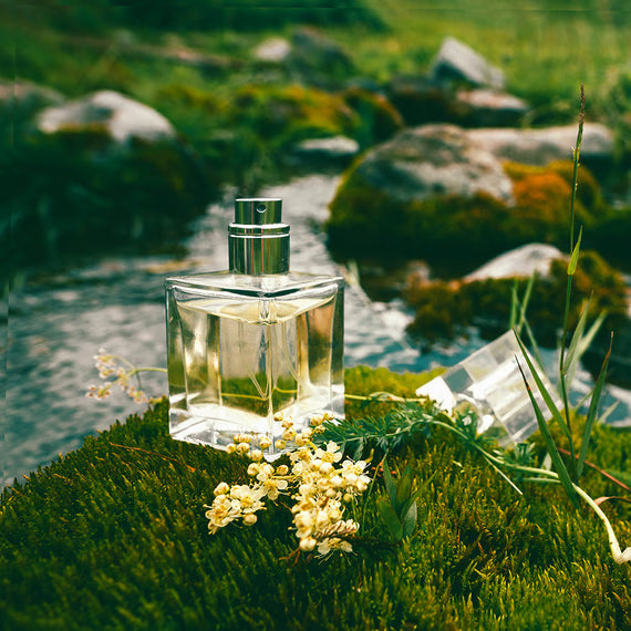 The Invisible Accessory: What Your Scent Says About You