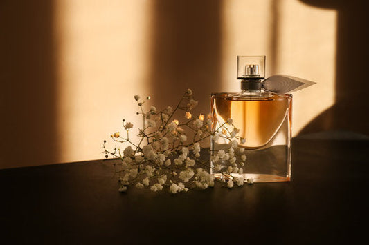 The Psychology of Scent: Why We Fall in Love with Certain Smells