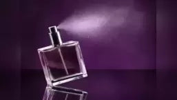 Through the Fog: Mysterious Scents That Leave You Intrigued